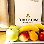 Tulip Hotel 3*