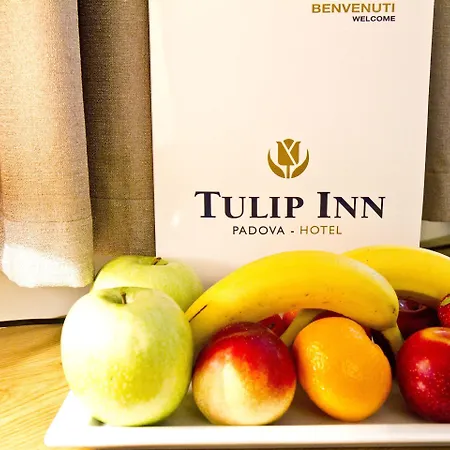 Tulip Hotel 3*