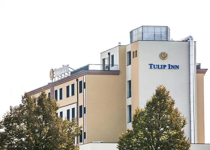 튤립 인 파도바