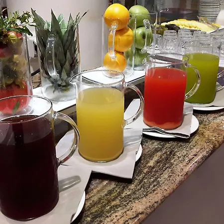 帕多瓦郁金香酒店