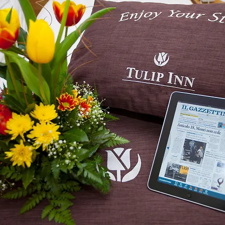 Hotel Tulip 3*