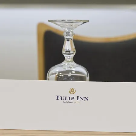 Hotel Tulip 3*