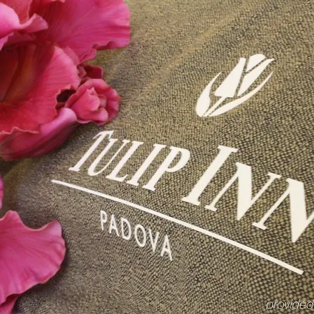 Tulip Padwa