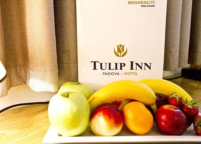 Tulip Ξενοδοχείο 3*