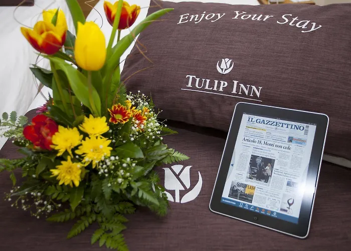 Tulip